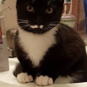 Meet your Posher, Danielle